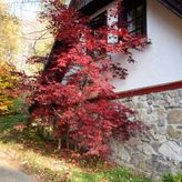 Studio Gościnne Antek (2)