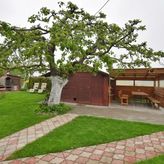 Agroturystyka Zielony Zakątek (3)