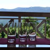 Apartamenty na Górnej (4)