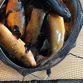 Król Puszczy nad jeziorem Mokre (2)