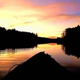 Król Puszczy nad jeziorem Mokre (3)