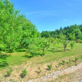 Agroturystyka u Grodzia (2)