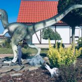 Osada Pod Dinozaurami (4)