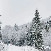 Apartamenty Siedlisko (2)