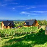 Winnica Nad Źródłem - Domki w Winnicy (2)