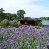 Agroturystyka Bobrowa Chata (4)