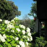 Noce i Dnie Pokoje i Apartamenty (3)