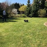 Flamandia & Willa Leśna (2)