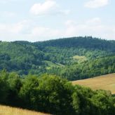 Akacjowe Zacisze (3)