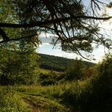 Akacjowe Zacisze (4)