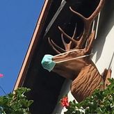 Dom Pod Jeleniem (3)