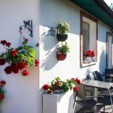 Bungalow w ogrodzie (2)