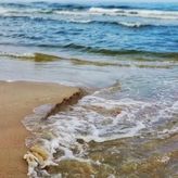 Dom Wczasowy Złota Rybka (3)