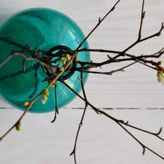 Pokoje Gościnne EWELA (3)