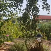 Dom Weselny ALICJA (4)