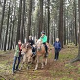 Agroturystyka-Zagroda Studzienno (4)