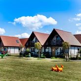 Osada Pod Dinozaurami (2)