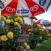 Apartamenty Amelia (2)