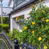 Dom Gościnny Sternik (3)