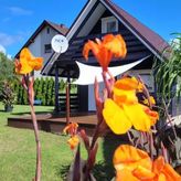 Domek letniskowy Kąty Rybackie (2)