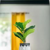 Gór-Ski Skalite (4)