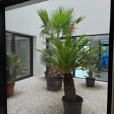 Apartament Baltic Waves Resort (3)