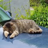 Przystanek Podgórze (4)