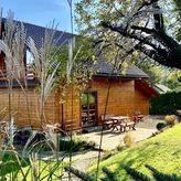 W pachnącym sadzie (4)