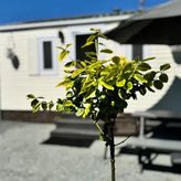 Noclegi Na Polnych Domach (4)