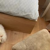 AP Apartamenty Polański - nowoczesne w 100 letnim budynku z duszą (4)