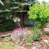 Mała Tyczkówka (4)