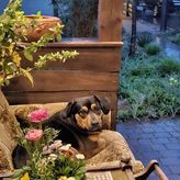 Ranczo Przyłęk (4)