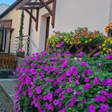 Noclegi KATE DEPTAK (3)