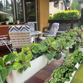 Dom letniskowy Roberto (4)