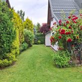 Dom Do Wynajęcia Zacisze (2)