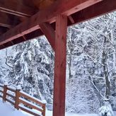 Borówkowa Dolina (2)