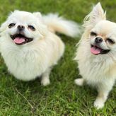 Domki Laura sauna i gorąca balia - OBIEKT CAŁOROCZNY (4)