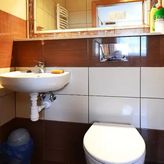 Arborator Paweł Kaźmierski (4)