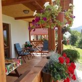 Domek Dzika Stokrotka (3)