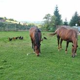Gospodarstwo Agroturystyczne Zembroń (4)