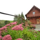 Domek do wynajęcia (4)