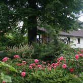 Gospodarstwo Agroturystyczne Chata Mikołaja (3)