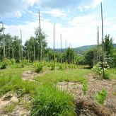 Świetnokrzyska Chata (3)