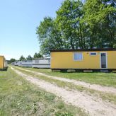 Camping pod brzoza (2)