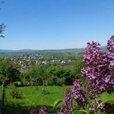 Gospodarstwo Agroturystyczne u Firków (4)