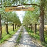 Agroturystyka Pod Lipą (2)