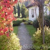 Ściborówka (3)