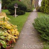 Ściborówka (4)