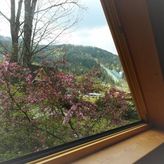 Apartamenty i Domek Pod Skocznią (4)