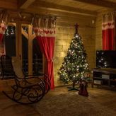 Borowikowe Zacisze (2)